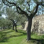 Il Castellaccio Hotel